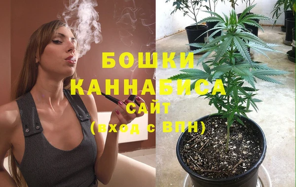 спиды Вязьма