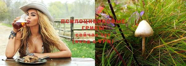 спиды Вязьма